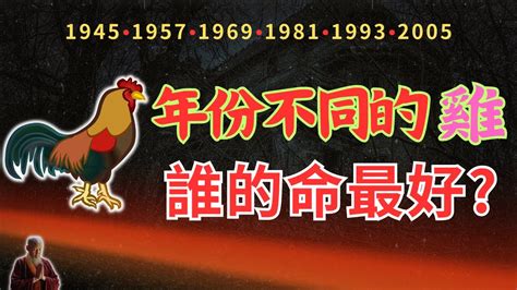 雞年次|2024屬雞幾歲、2024屬雞運勢、屬雞幸運色、財位、禁忌